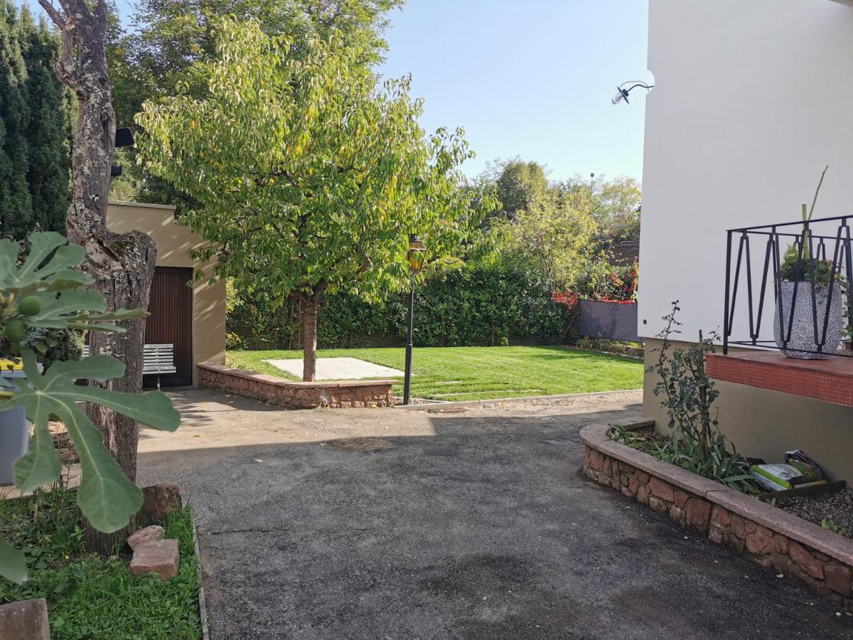 La Maison De Lucie - Grande Maison Ideale En Famille Ou Entre Amis - Jardin - Parking Gratuit Sélestat Exteriér fotografie