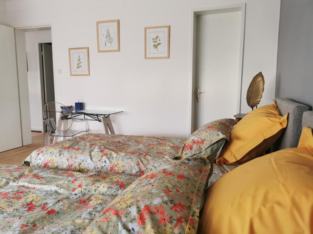 La Maison De Lucie - Grande Maison Ideale En Famille Ou Entre Amis - Jardin - Parking Gratuit Sélestat Exteriér fotografie